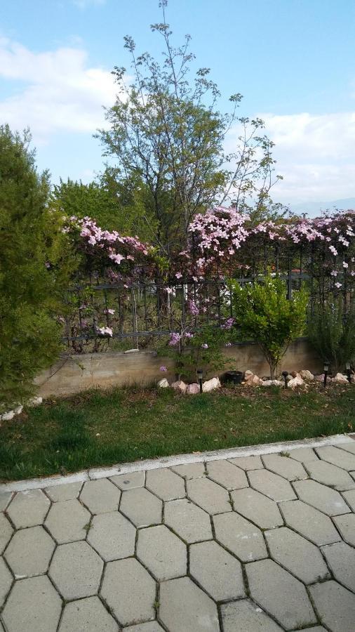 Apartment Dina Skopje Exterior foto